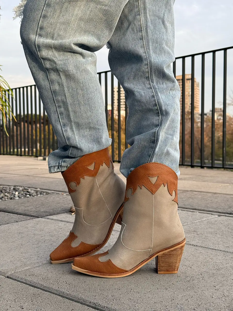Abigail camel 3