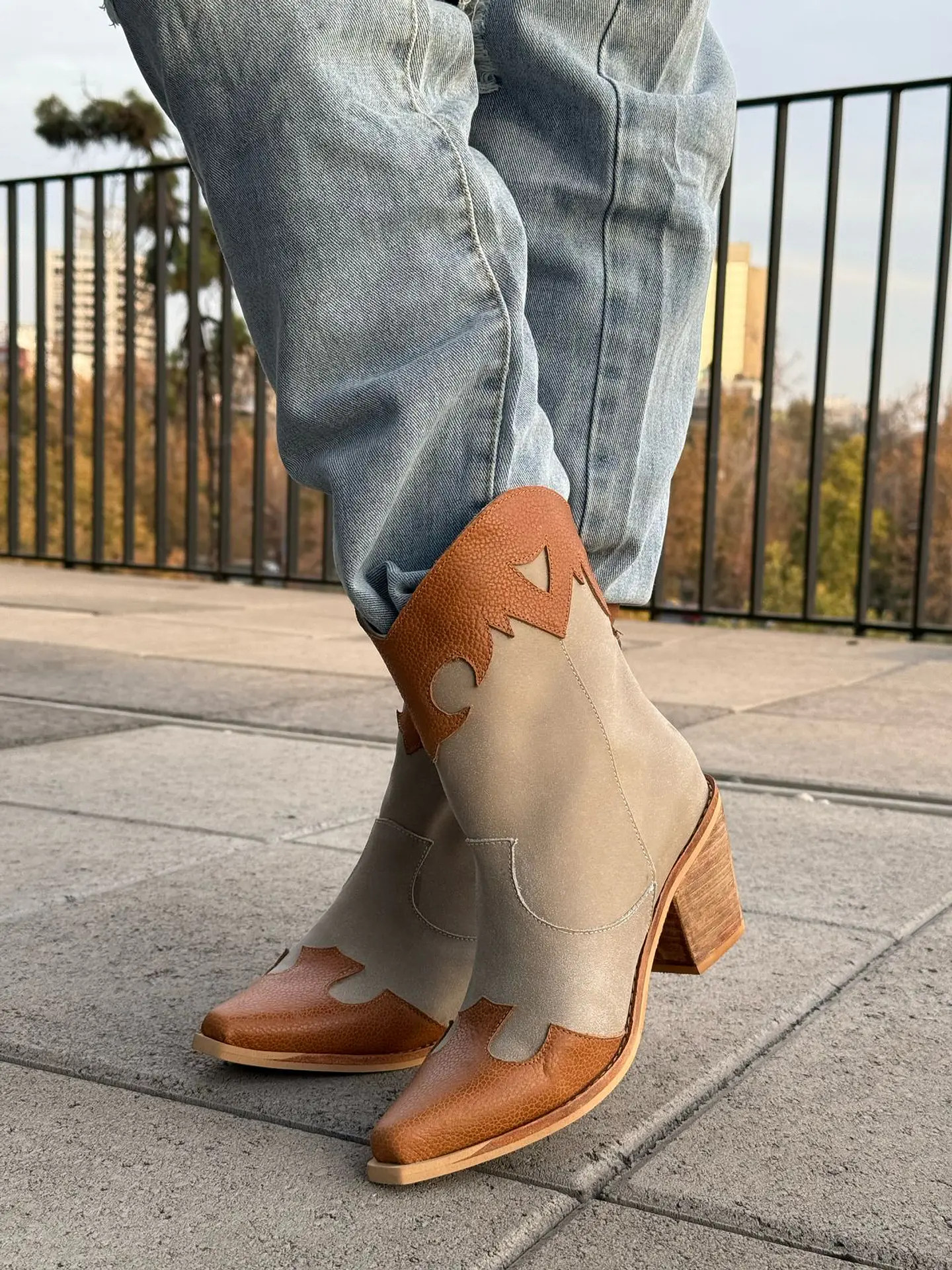 Abigail camel 5
