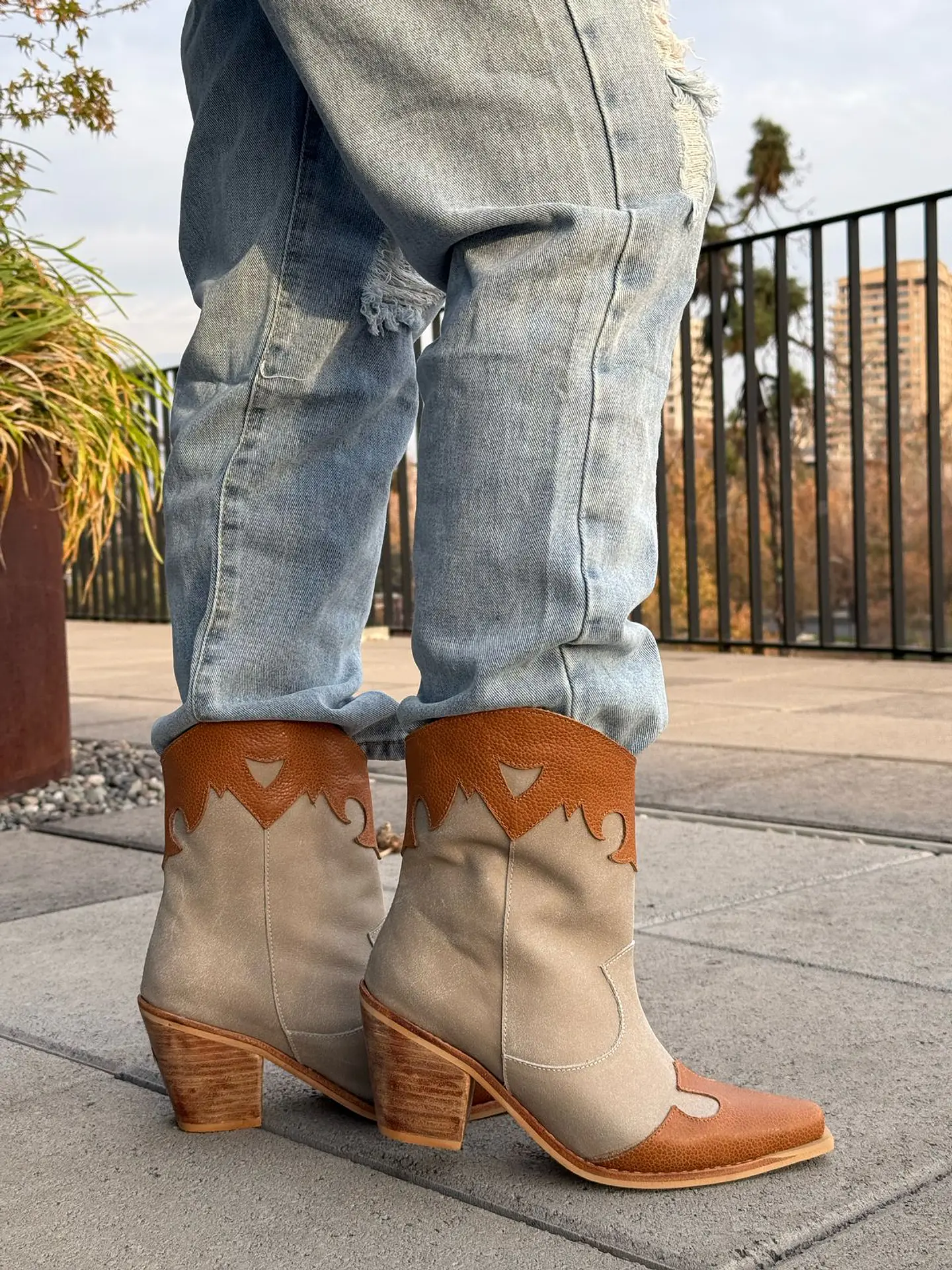 Abigail camel 6