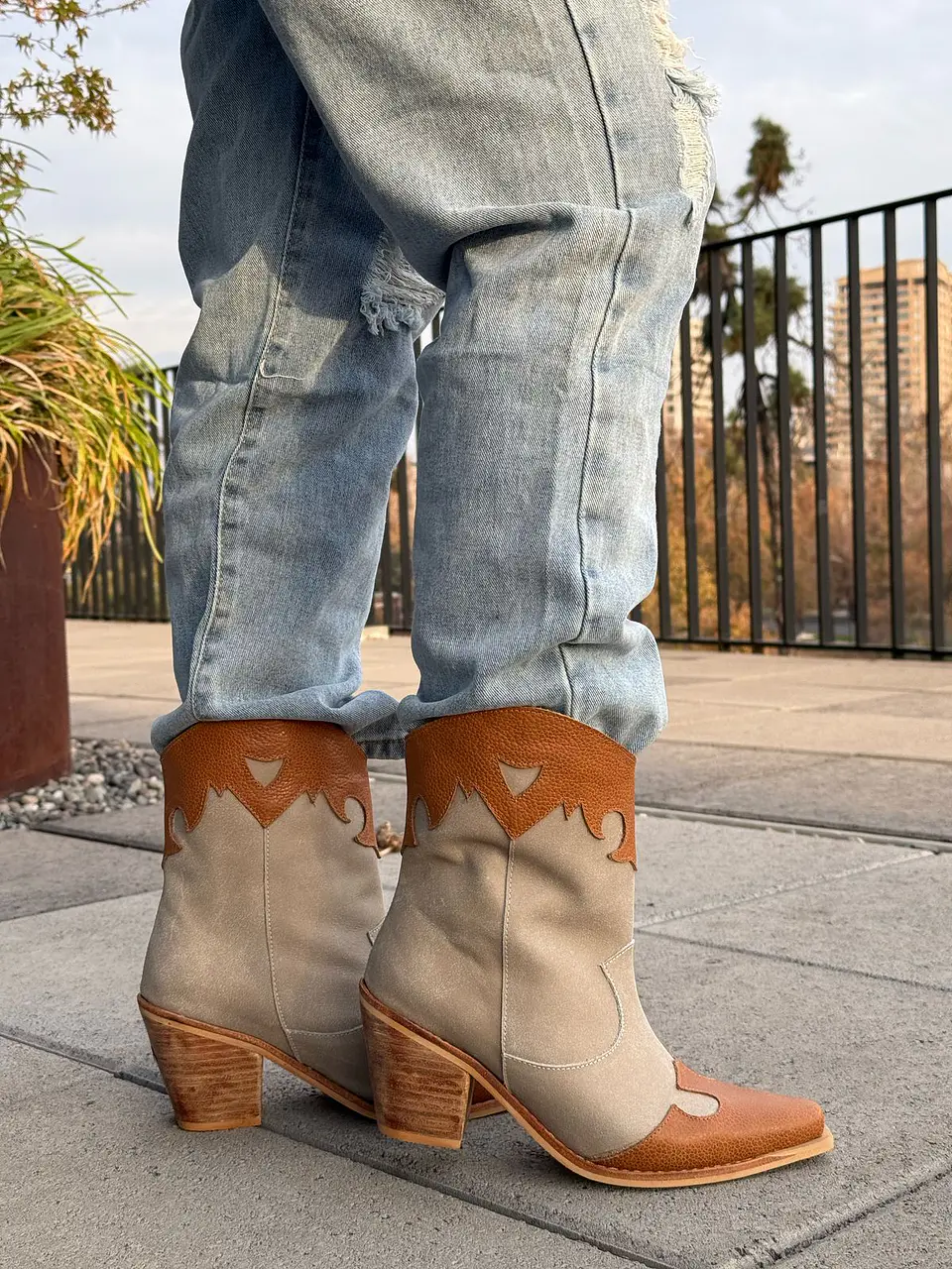 Abigail camel 6