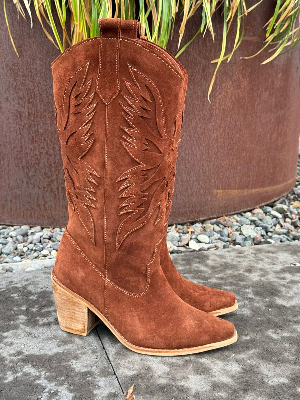 Aguila café moro  2