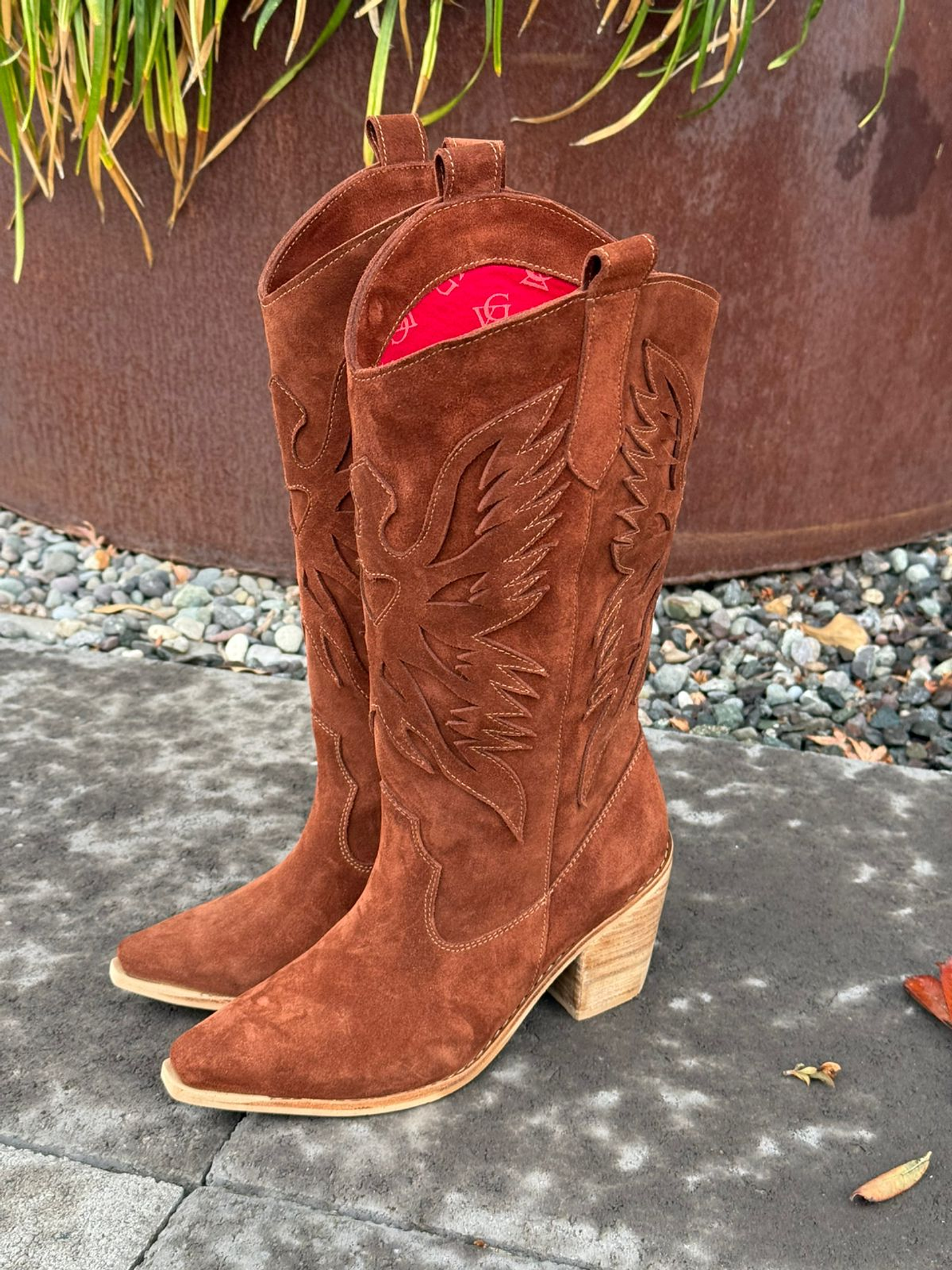 Aguila café moro  3