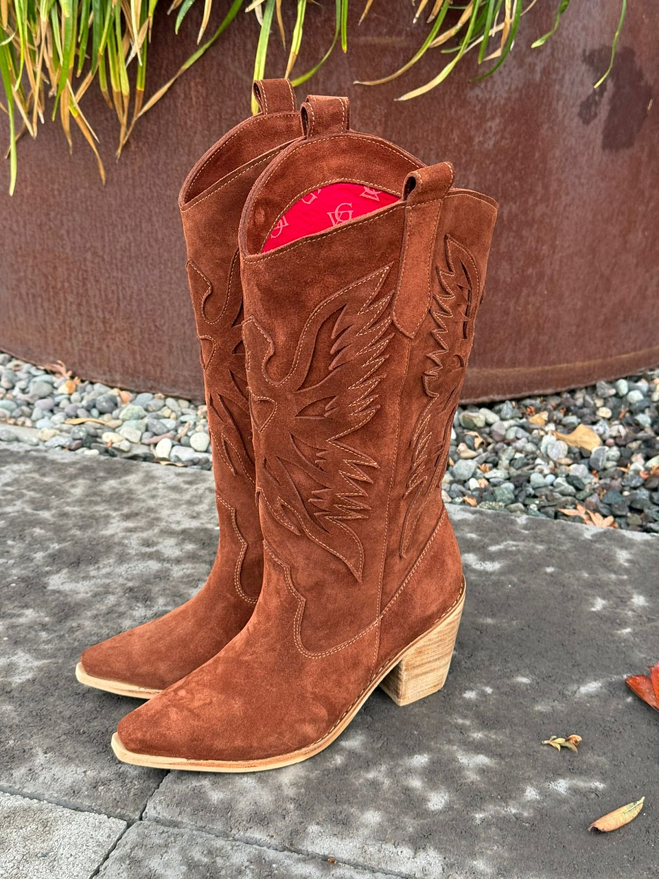 Aguila café moro  3