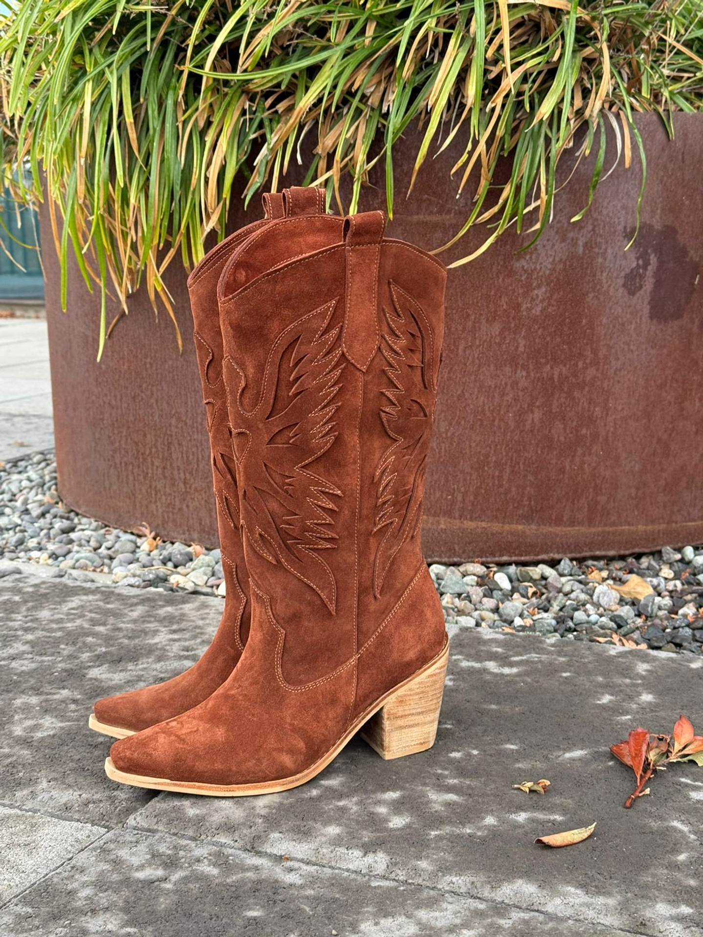 Aguila café moro  5