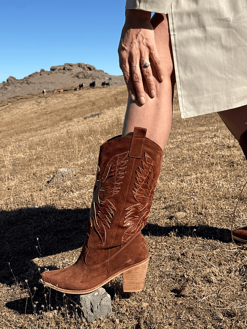 Aguila café moro/Lagarto 