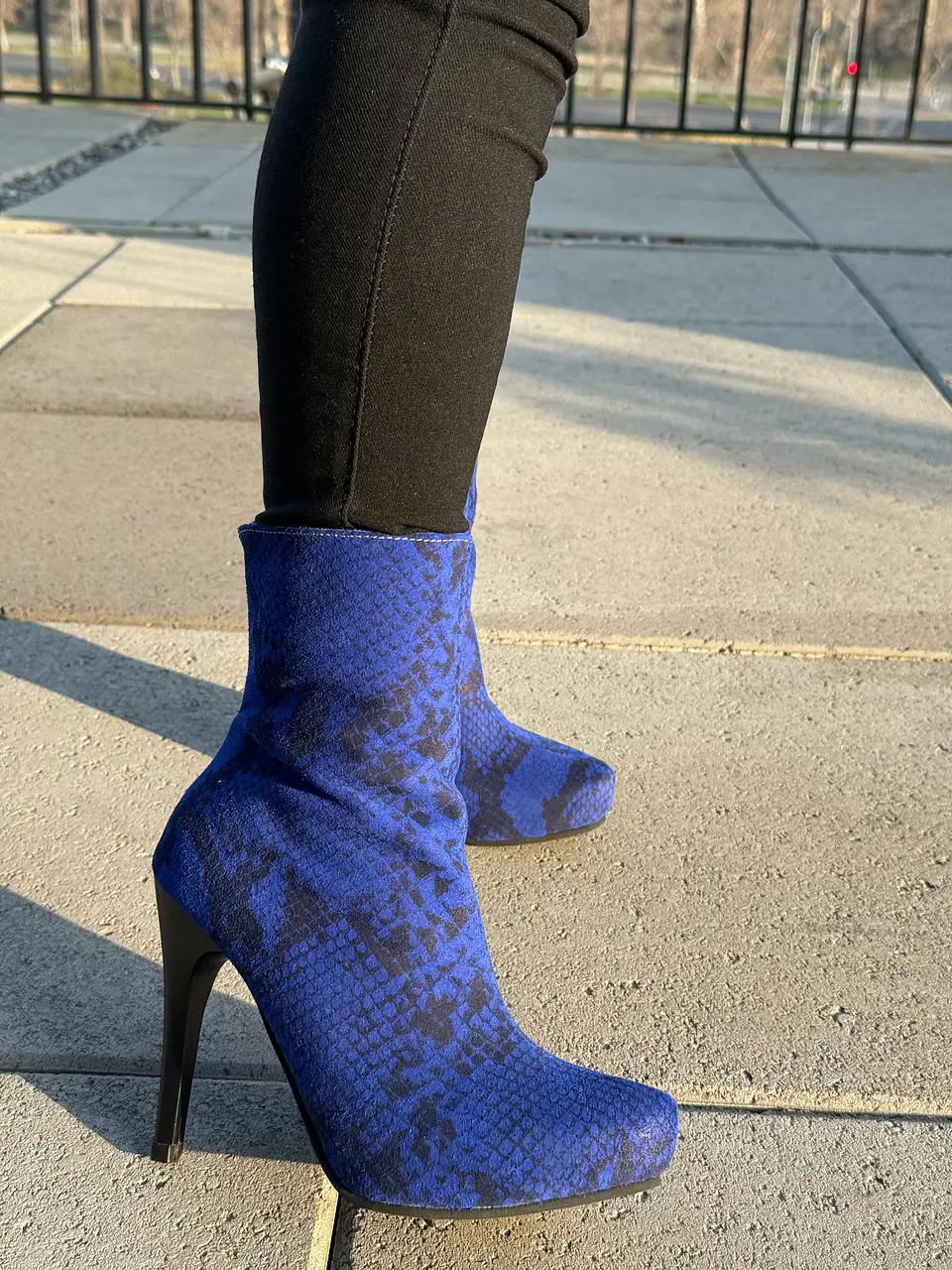Kim Pitón Azul 3