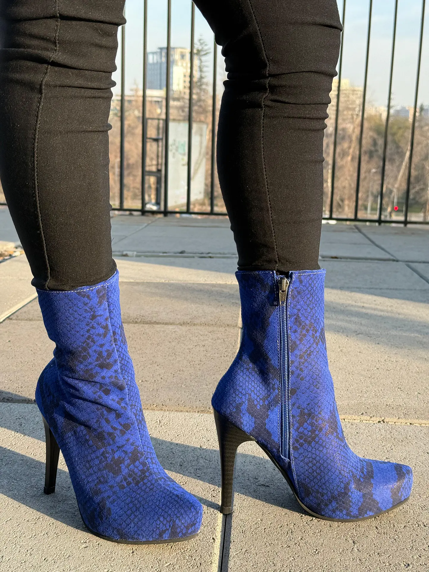 Kim Pitón Azul 4
