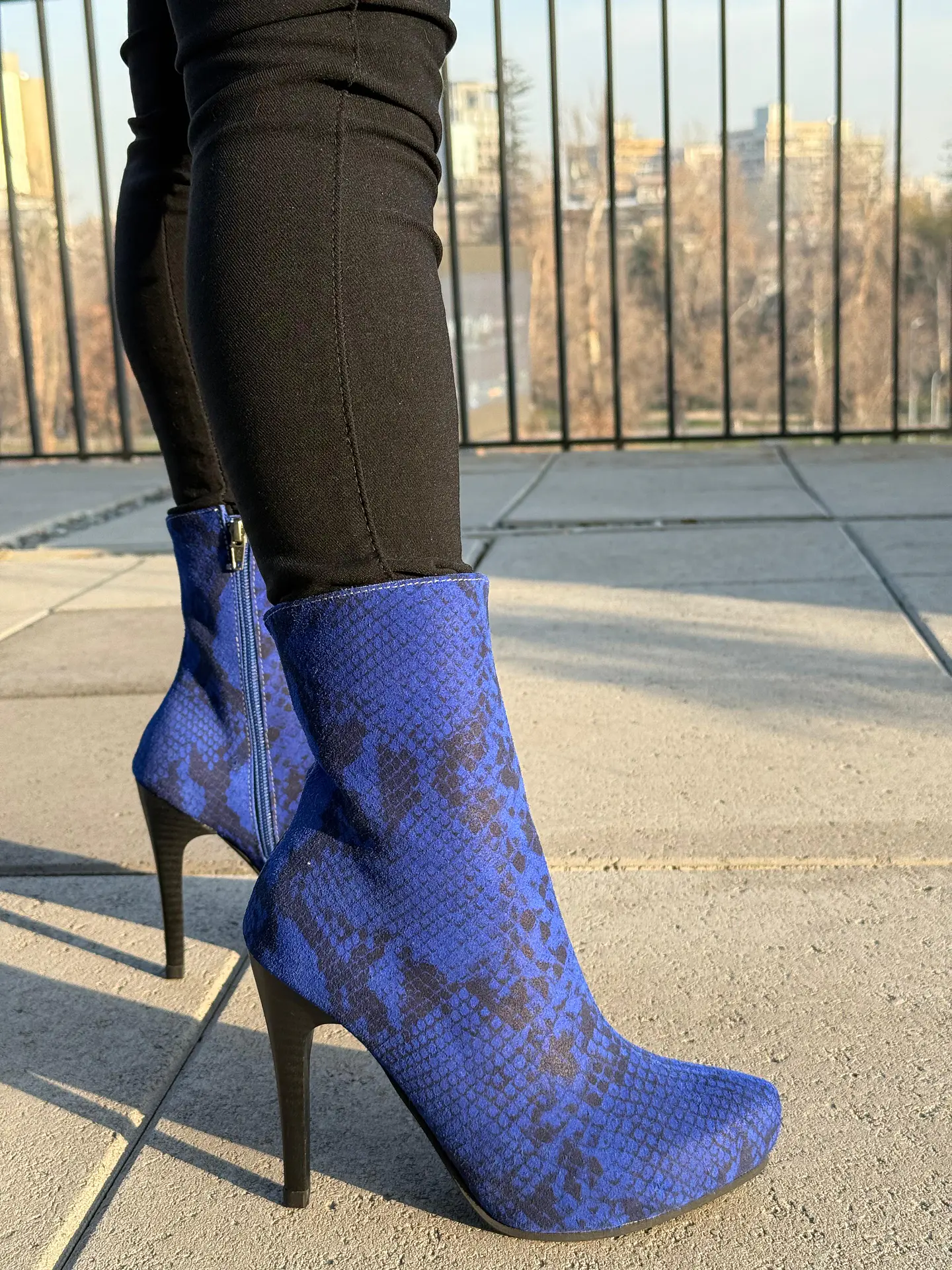 Kim Pitón Azul 6