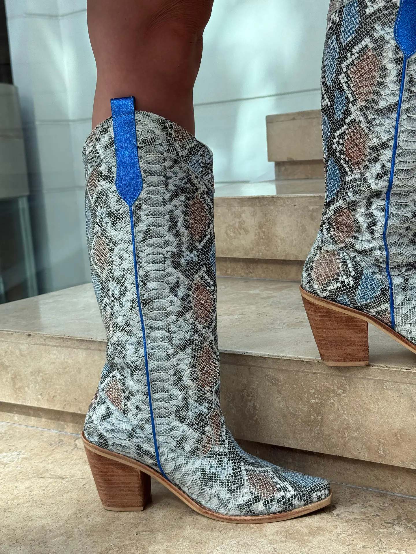 Arizona Pitón Azul 3