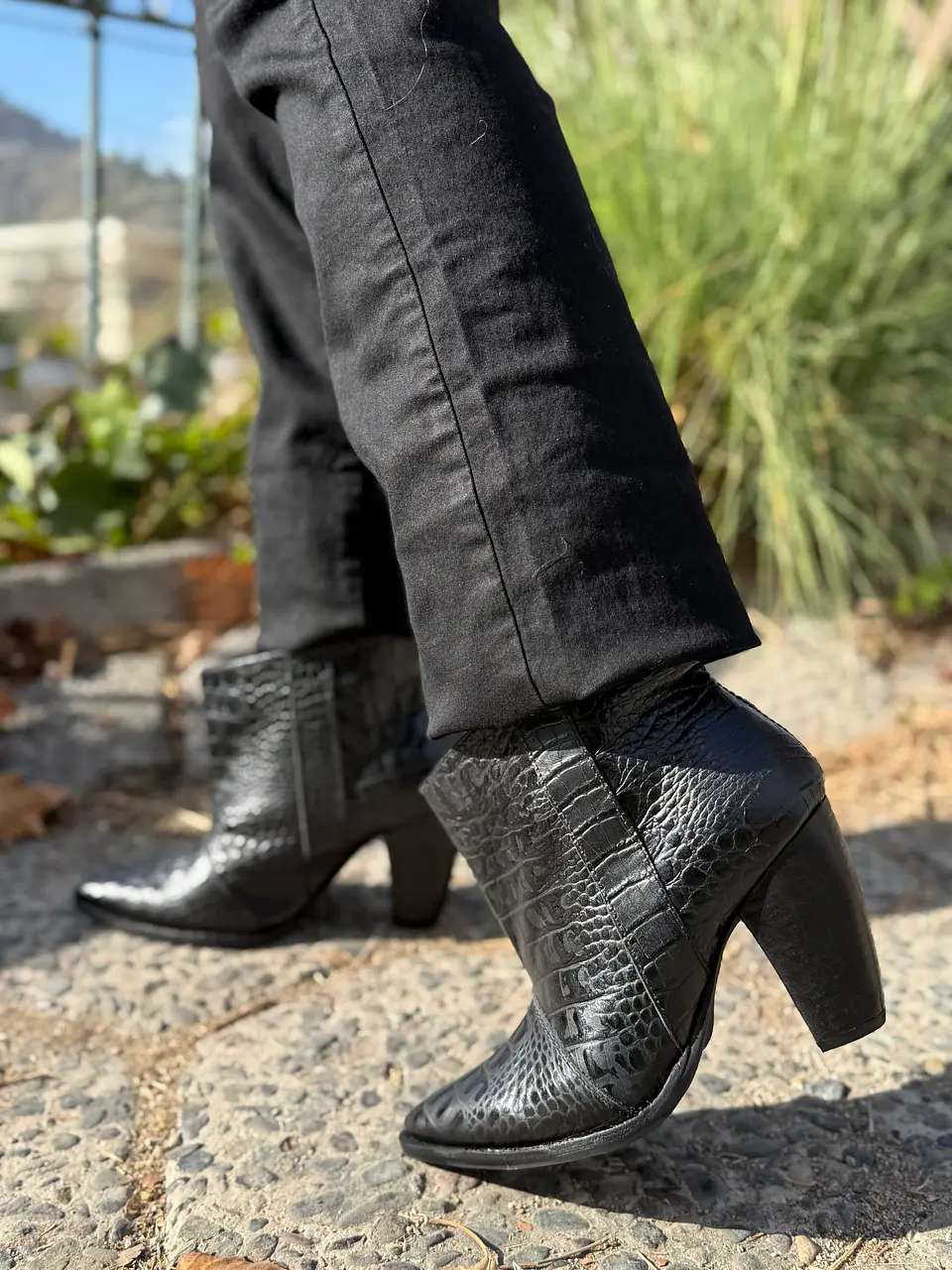 Ori Lagarto Negro 1