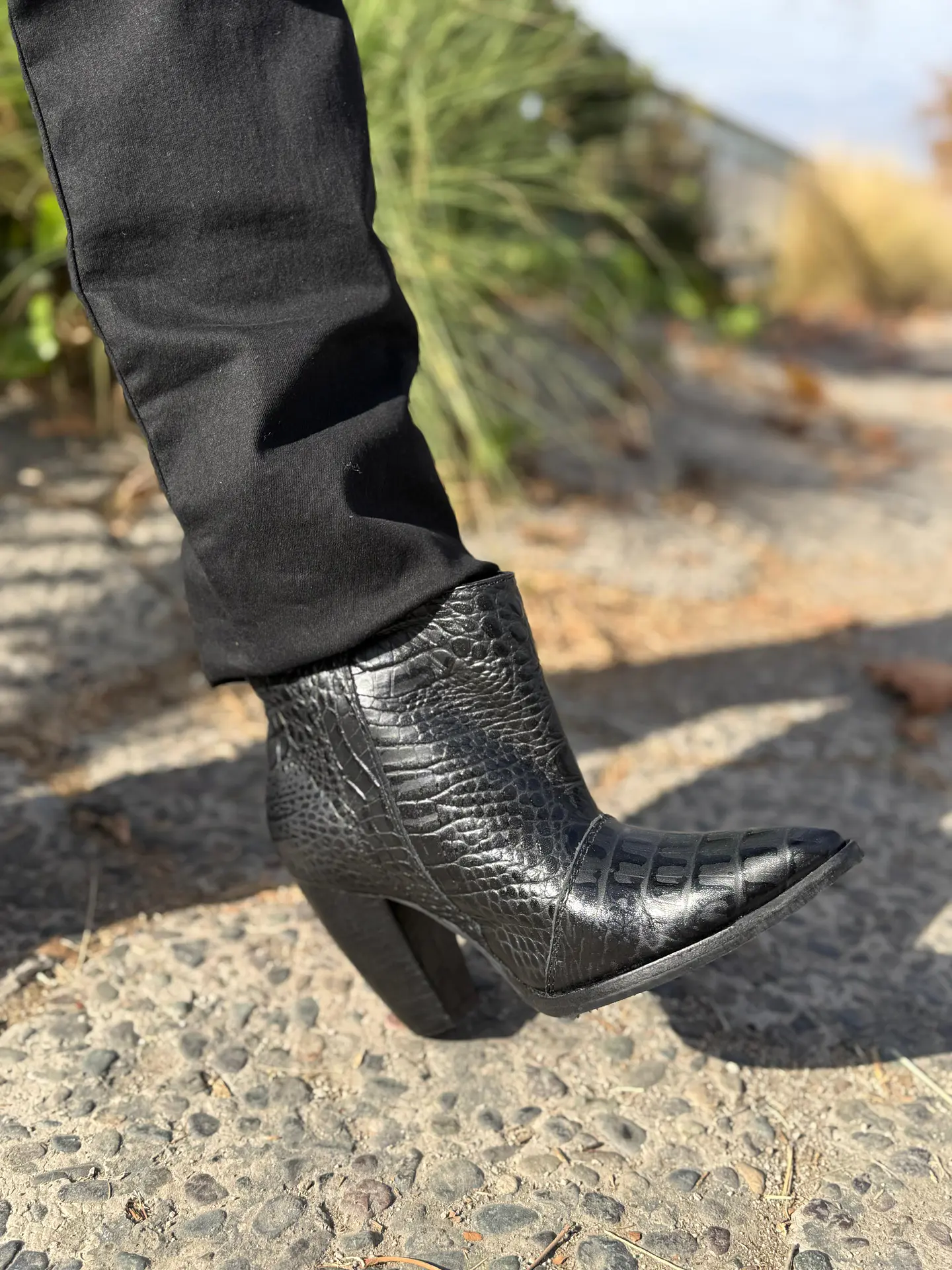 Ori Lagarto Negro 3