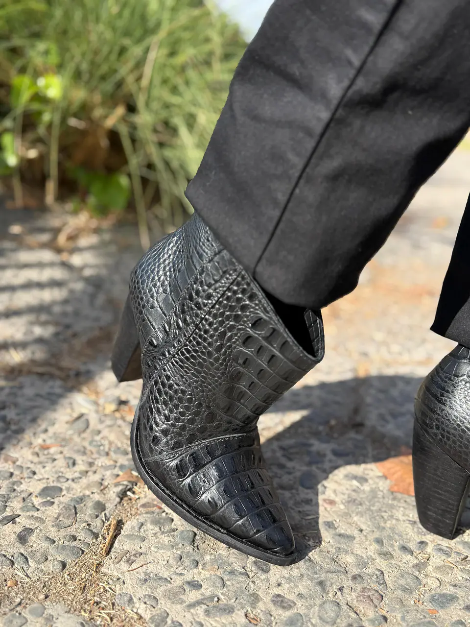 Ori Lagarto Negro 4