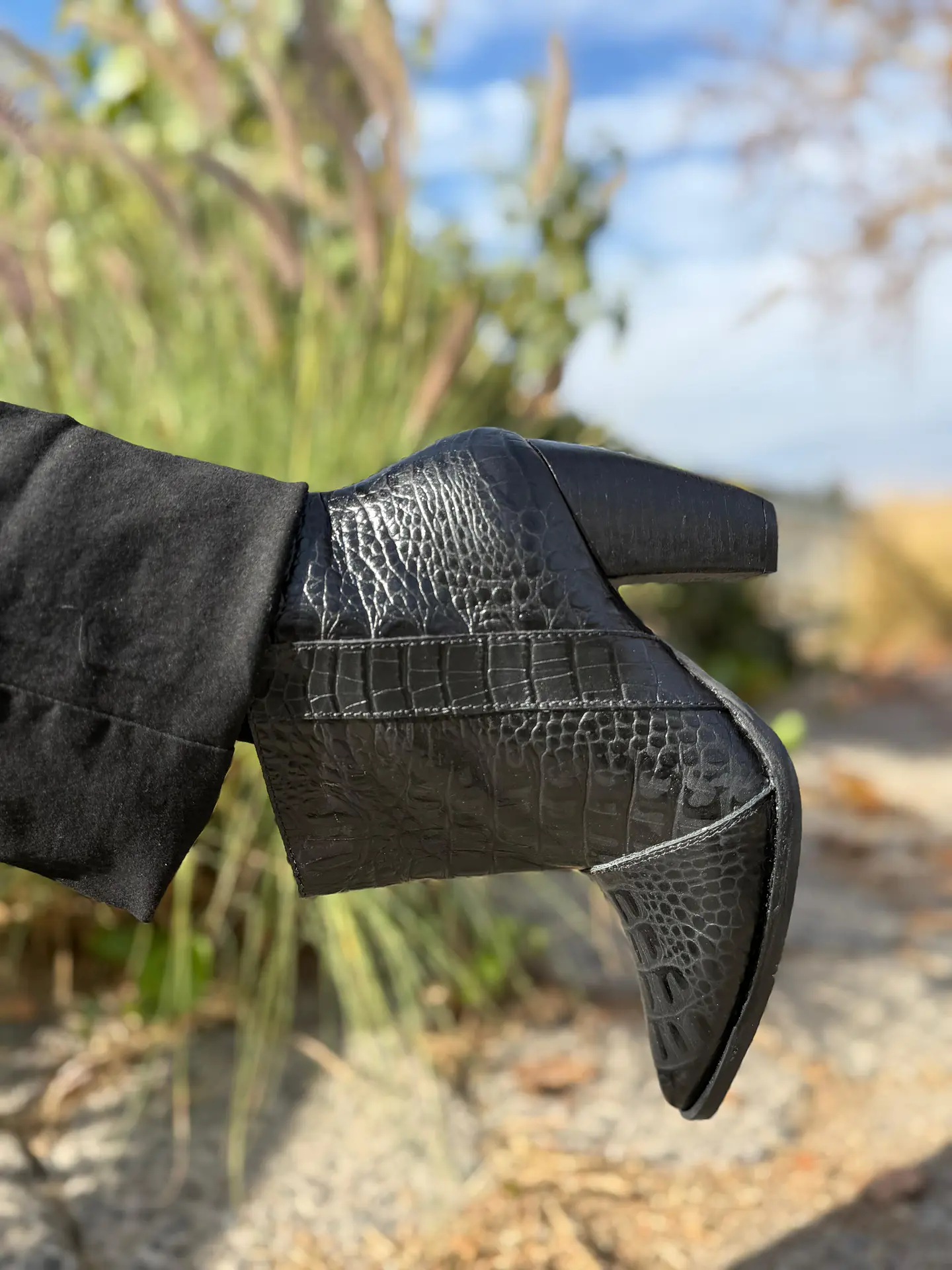 Ori Lagarto Negro 7