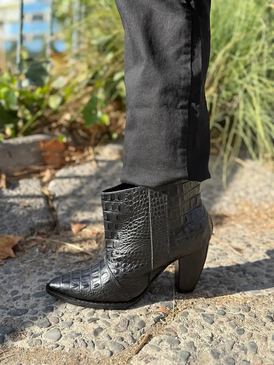 Ori Lagarto Negro 8