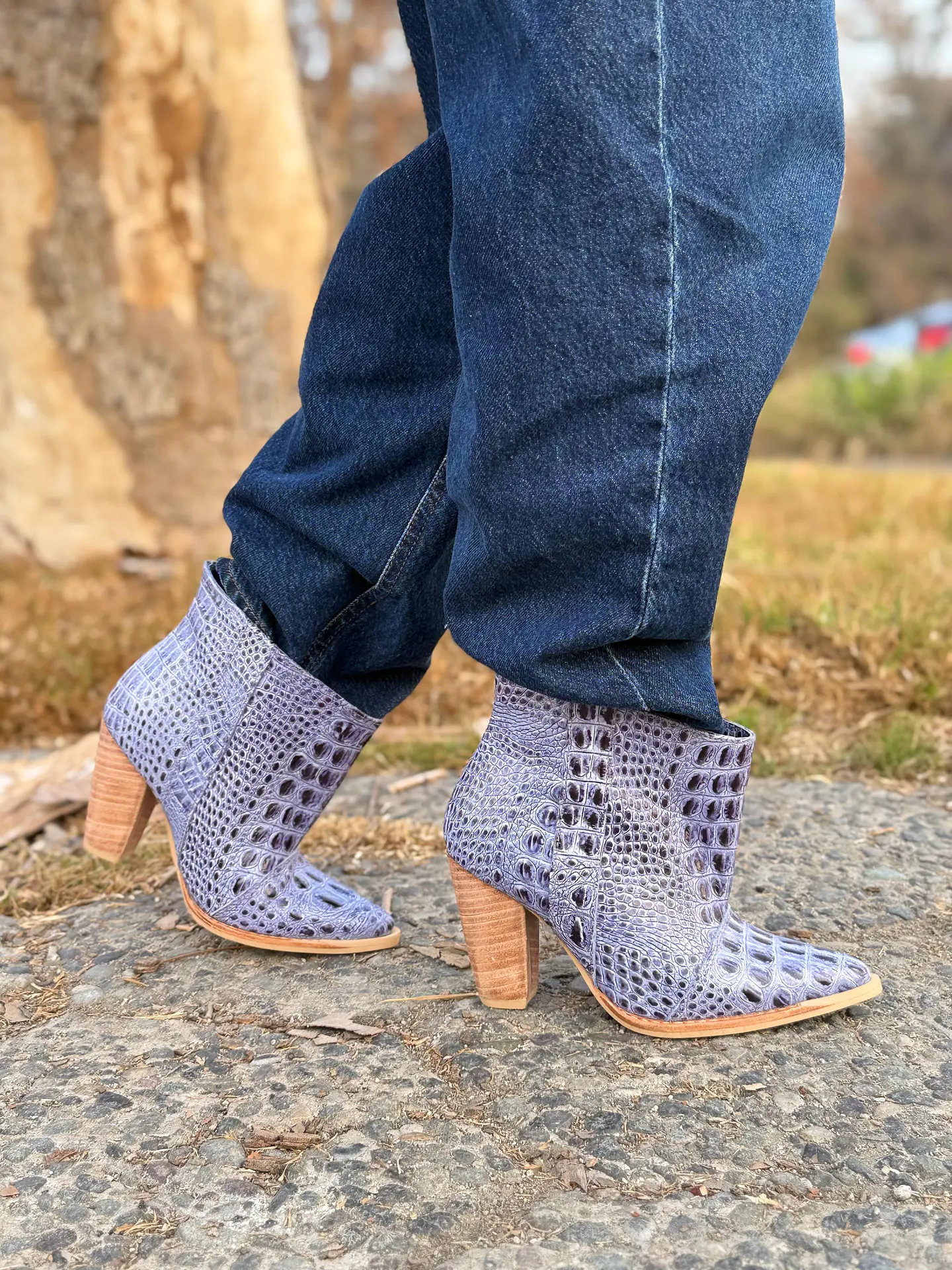 Ori Lagarto Azul 4
