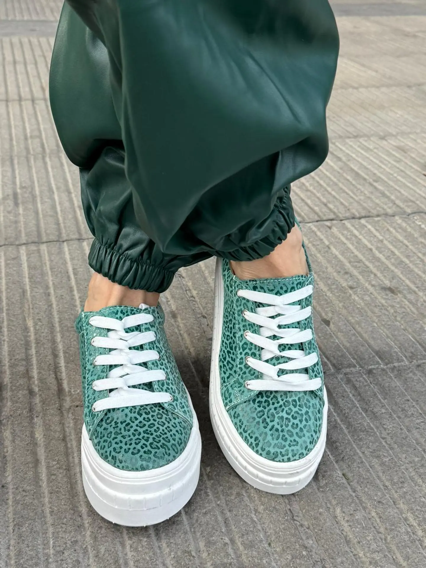 Miami Chita Verde 3