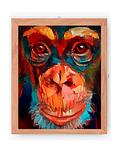 Ilustración Chimpancé