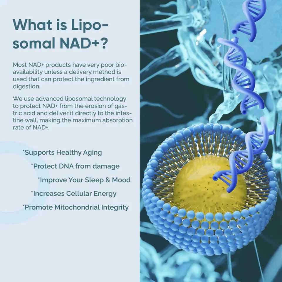 NAD+ Resveratrol - Vidanova® Suples 4