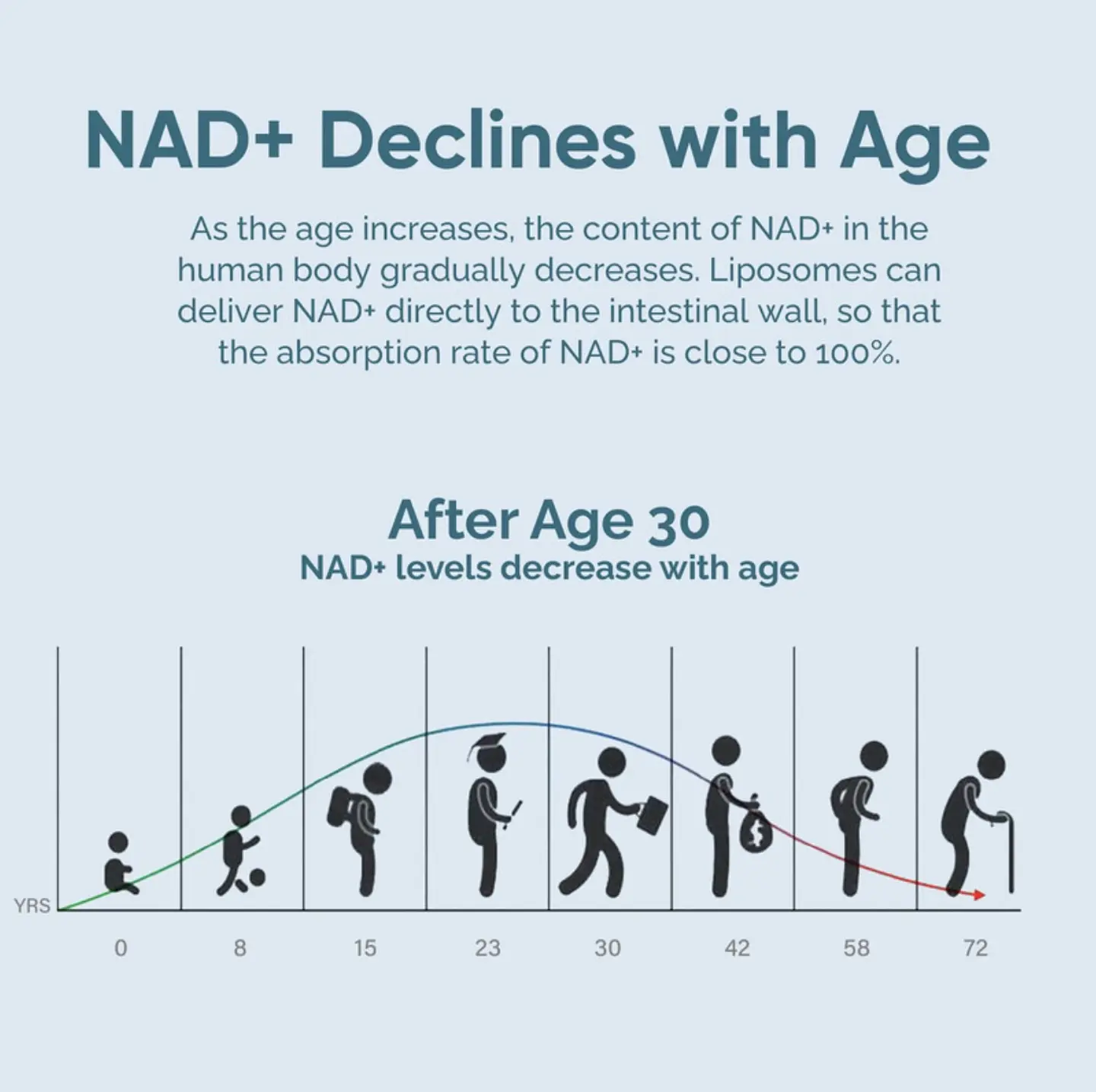 NAD+ Resveratrol - Vidanova® Suples 5