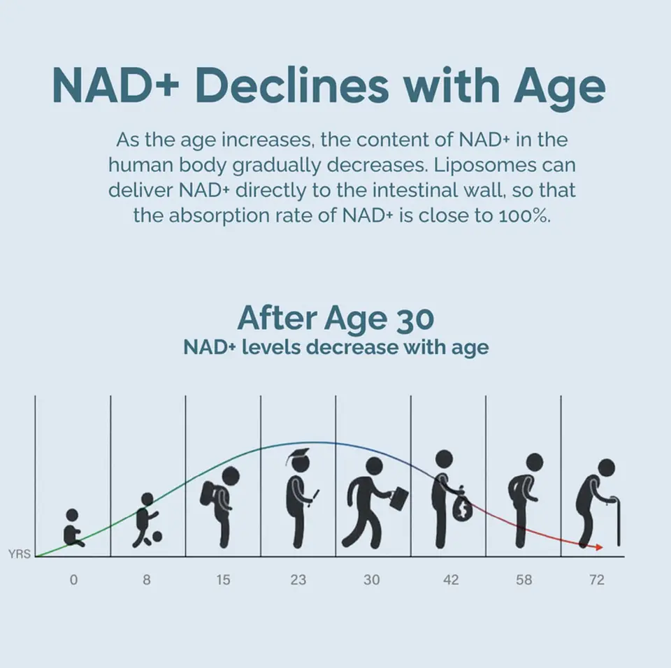 NAD+ Resveratrol - Vidanova® Suples 5