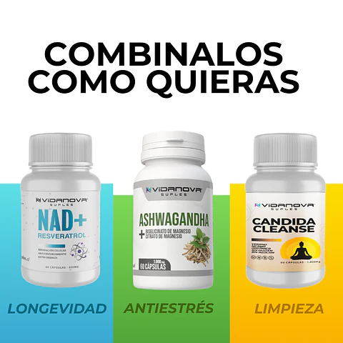 Pack Combinable | NAD+, Ashwagandha y Candida Cleanse | Vidanova Suples
