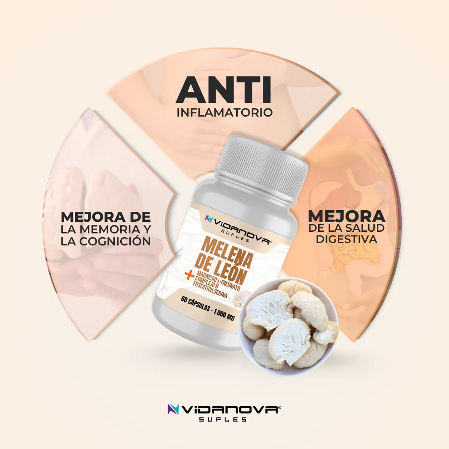 Melena de León - Vidanova® Suples 2
