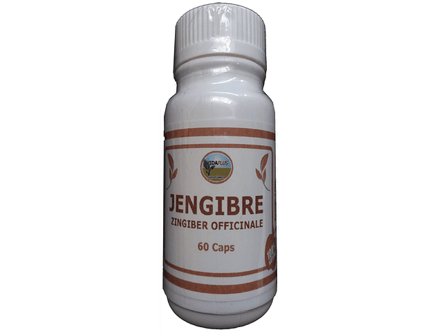 JENGIBRE RAIZ 60 CAPS DE 480 MG 5 FRASCOS.  DESPACHO GRATIS