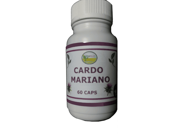 CARDO MARIANO 5 FRASCOS DE 60 CAPSULAS DE 480 mg. DESPACHO GRATIS