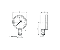 MANOMETRO BAUMER BRONCE INOX 100MM 1/2NPT 0 a 1BAR / 0 a 15PSI