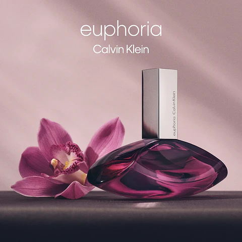 euphoria calvin klein 100ml
