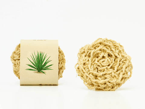 Fregadora para lavavajillas