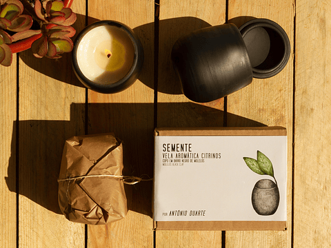 Conjunto Vela Aromática - Semente