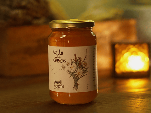 Mel Valle das Corujas