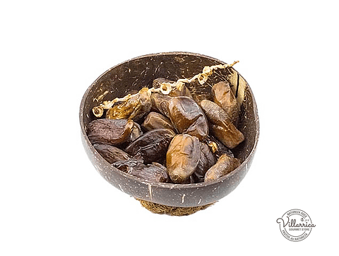 Deglet Dates with seed Natural w/ Branch