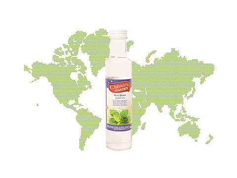 Água de Menta 250ml