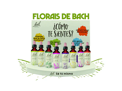 Florais de Bach