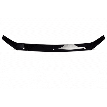 DEFLECTOR DE CAPOT 1