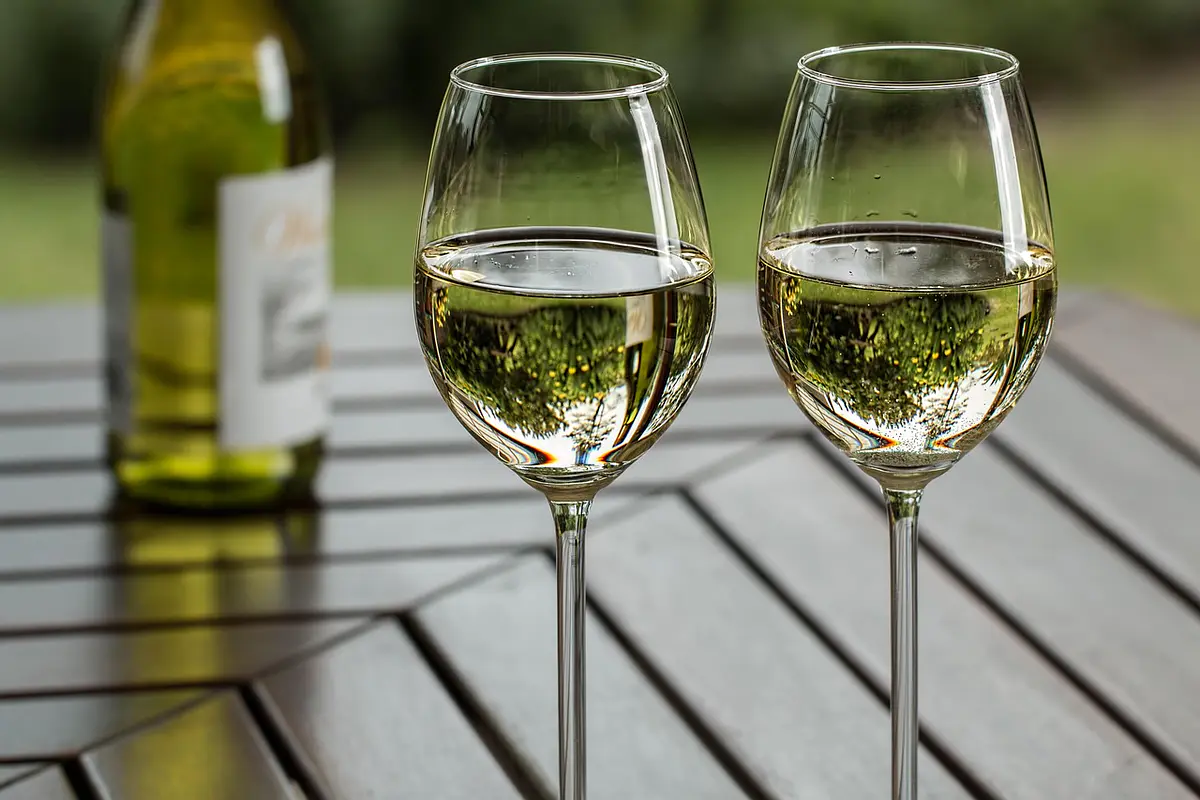 Vino y Espumante Premium