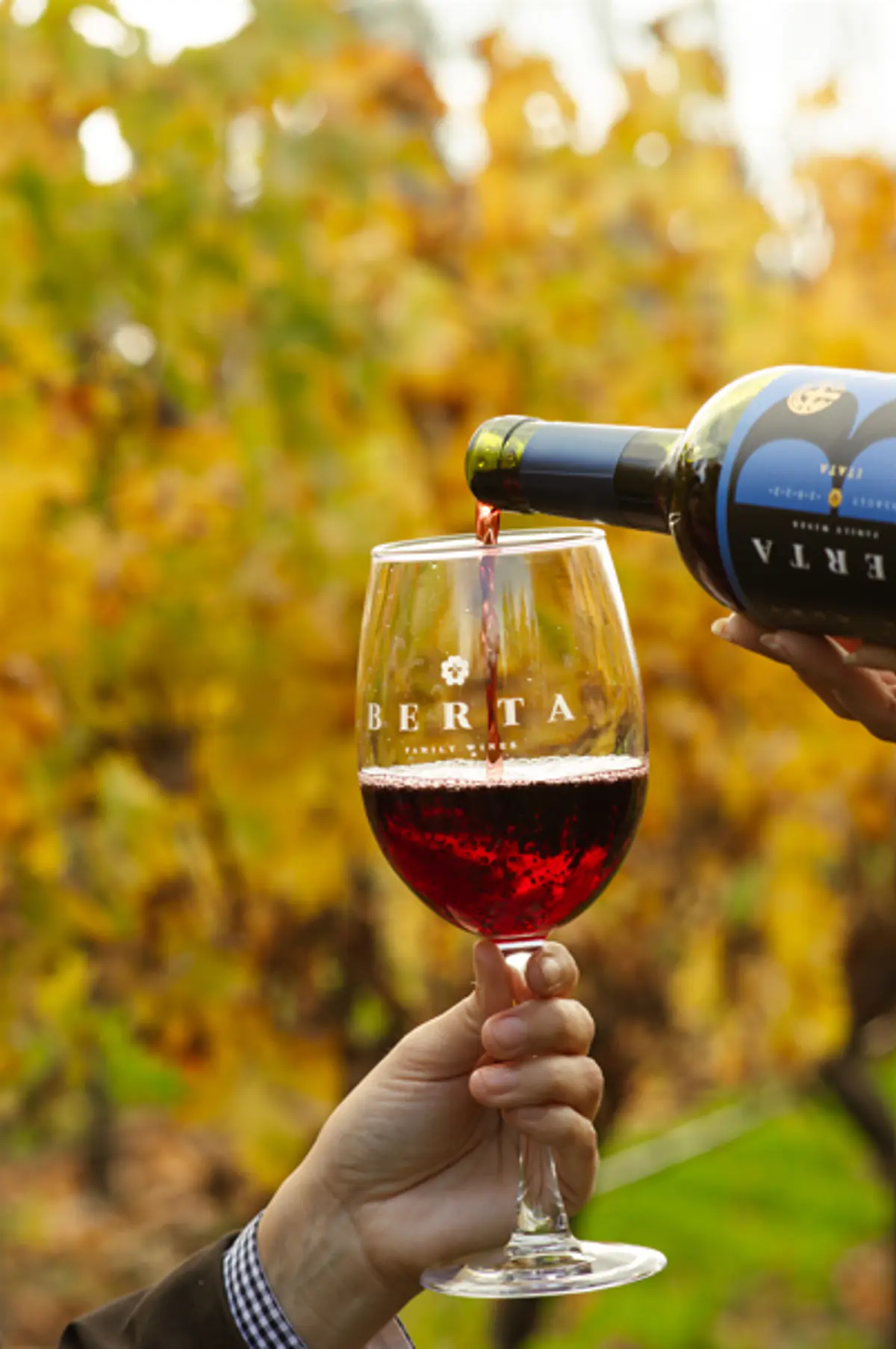 Vino Reserva