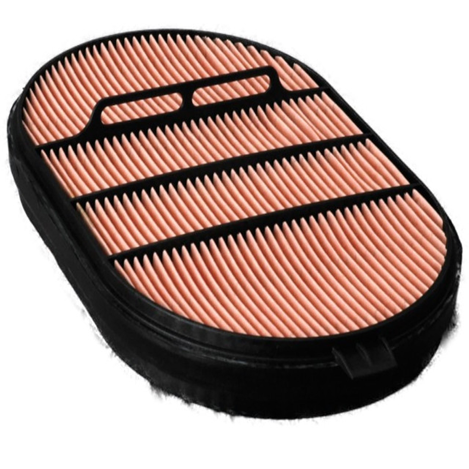 P607557 Filtro Donaldson 1