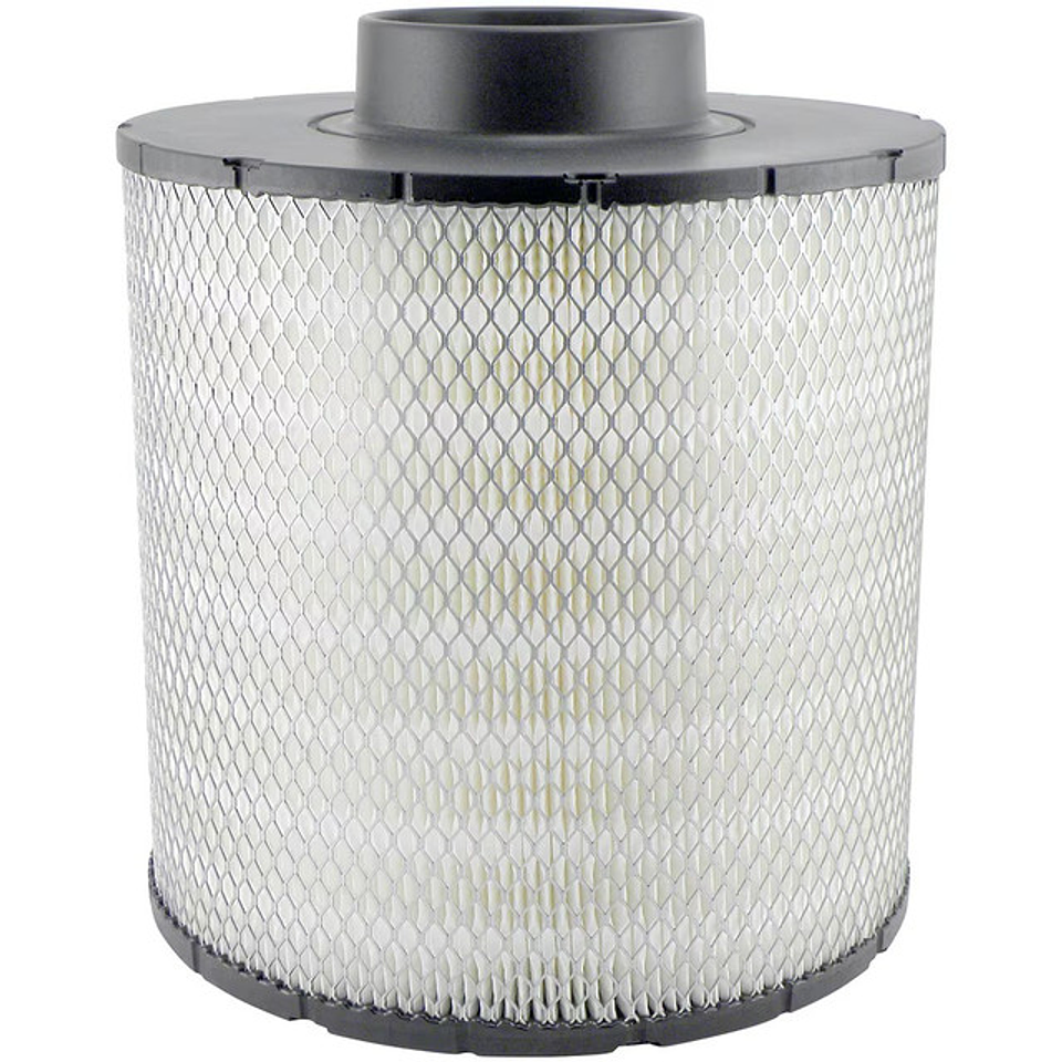 PA2820 Filtro Baldwin 1