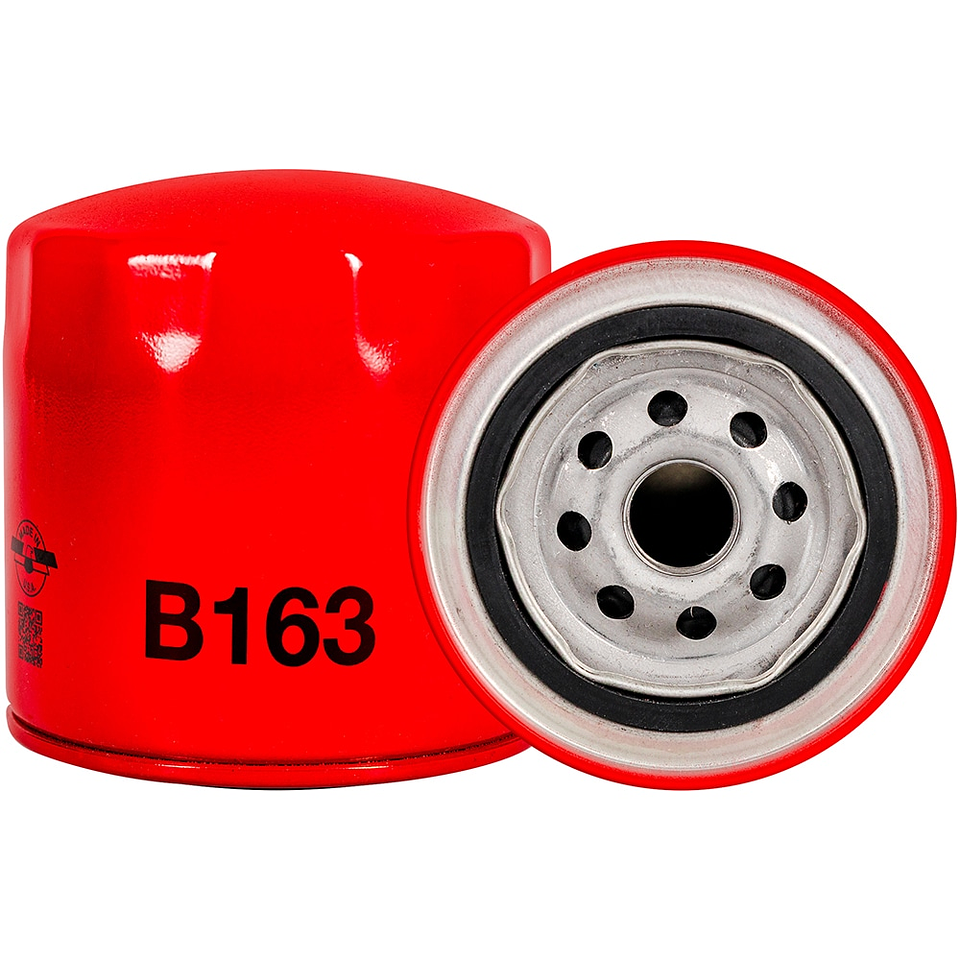 B163 Filtro Baldwin 1