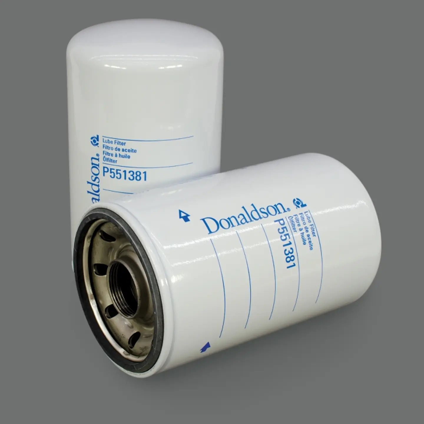 P551381 Filtro Donaldson 1