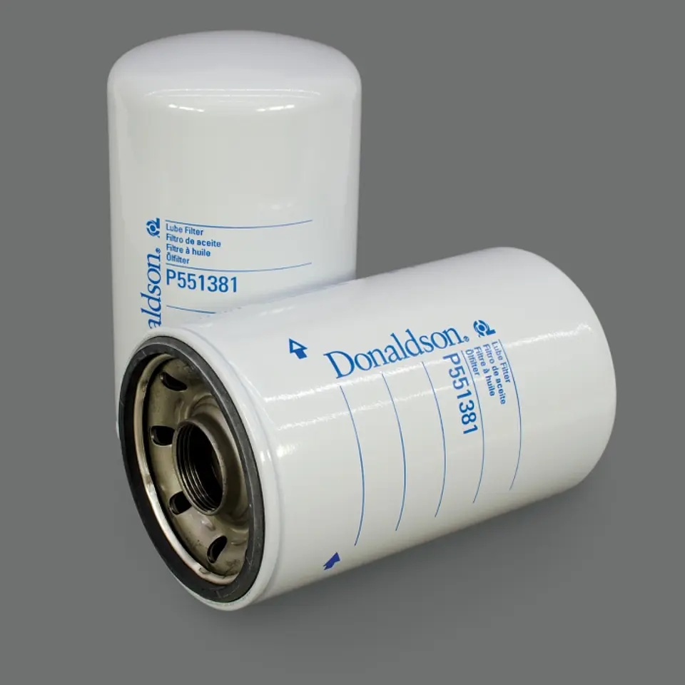 P551381 Filtro Donaldson 1