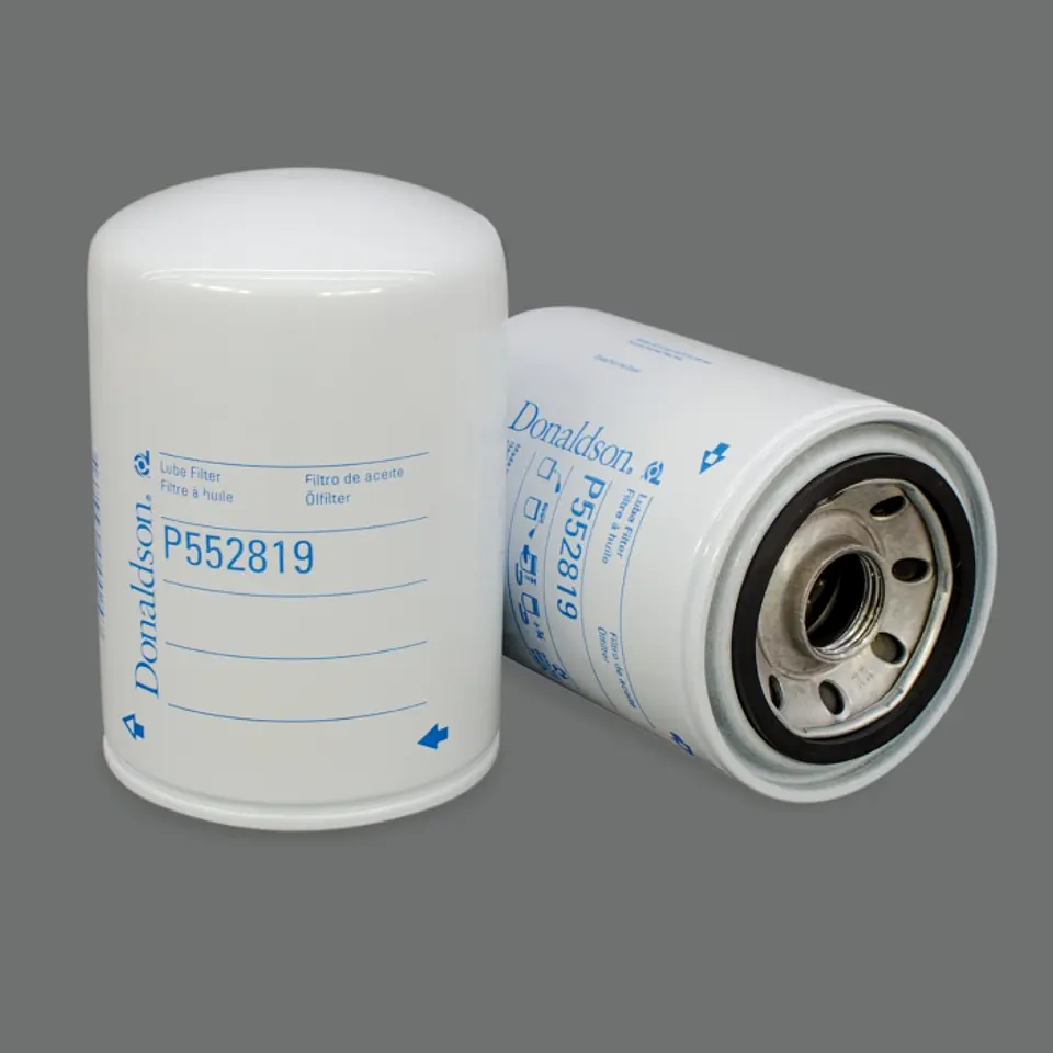 P552819 Filtro Donaldson 1