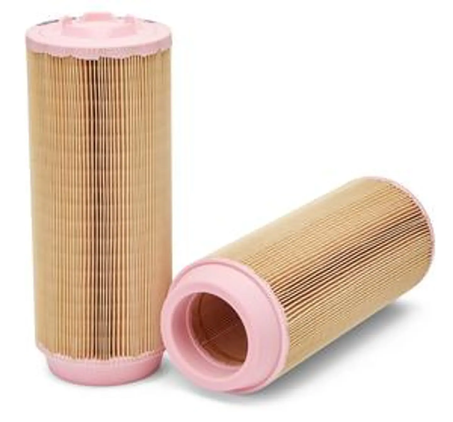 AF26389 Filtro Fleetguard 1