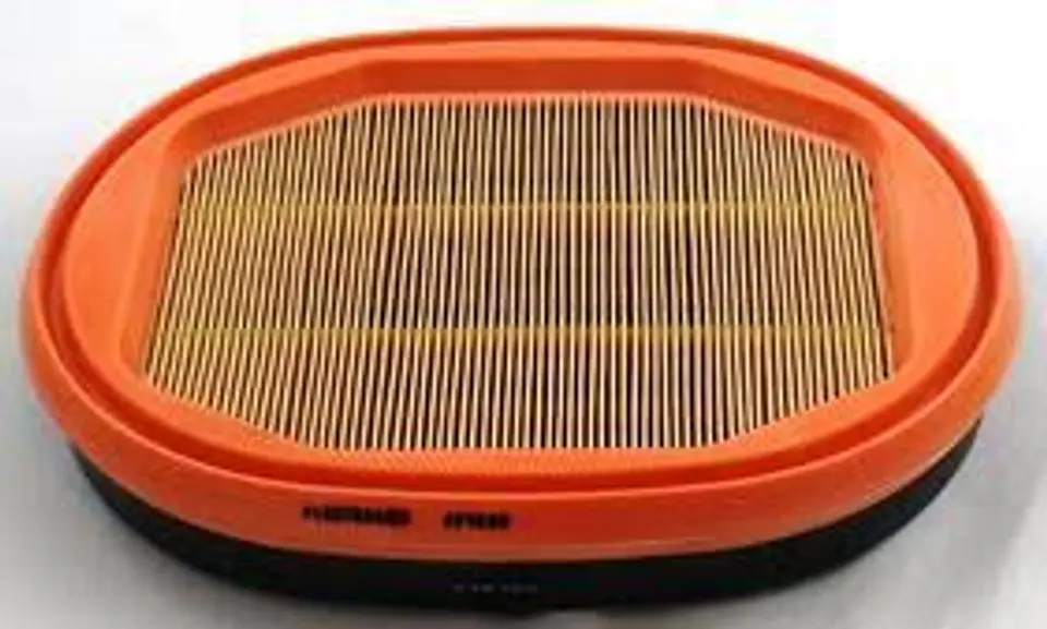 AF1009 Filtro Fleetguard 1