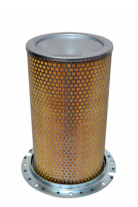 C20187 Filtro Mann