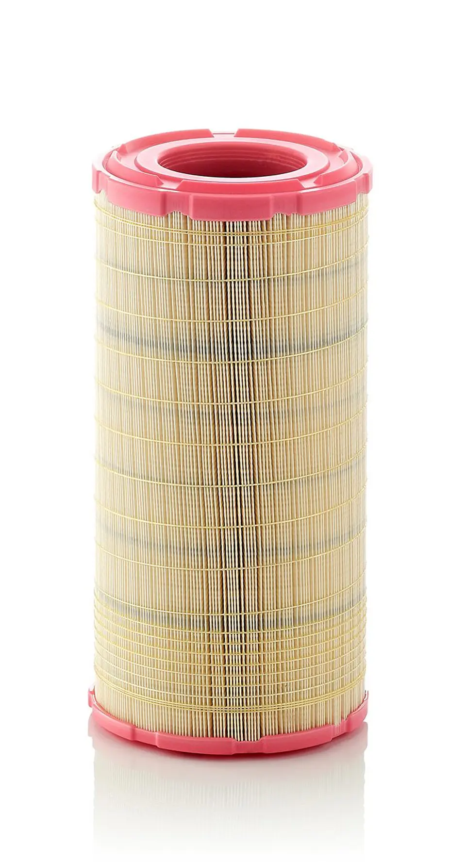 C21630 Filtro Mann 1
