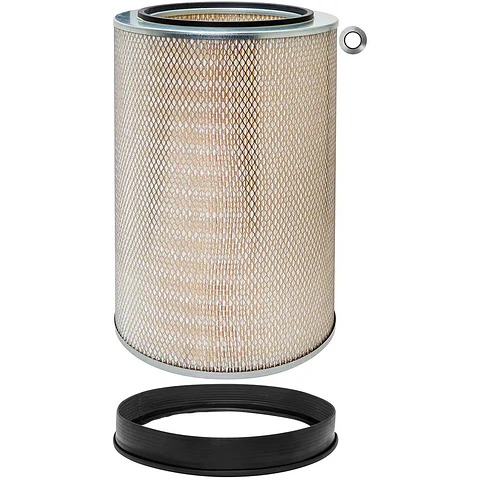 PA2573 Filtro Baldwin